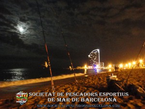 platja de la barceloneta 16 maig 2014_12 (www.societatpescadorsbarcelona.com)