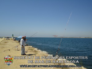 port_barcelona_aplec_28_06_2014_06(www.societatpescadorsbarcelona.com)