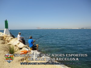 port_barcelona_aplec_28_06_2014_12(www.societatpescadorsbarcelona.com)