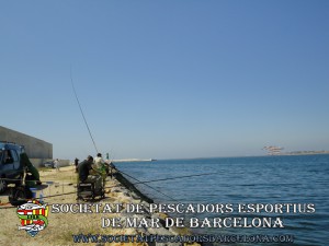 port_barcelona_aplec_28_06_2014_15(www.societatpescadorsbarcelona.com)