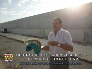 port_barcelona_aplec_28_06_2014_19(www.societatpescadorsbarcelona.com)
