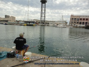 concurs del carme 2014_07(www.societatpescadorsbarcelona.com)