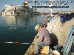 concurs_port_de_Barcelona_moll_del_rellotge_octubre_2014_04(www.societatpescadorsbarcelona.com)