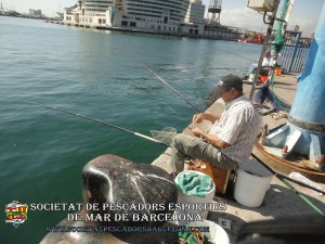 concurs_port_de_Barcelona_moll_del_rellotge_octubre_2014_10(www.societatpescadorsbarcelona.com)