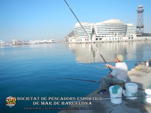 2_concurs_mar-costa_2015_12(www.societatpescadorsbarcelona.com)