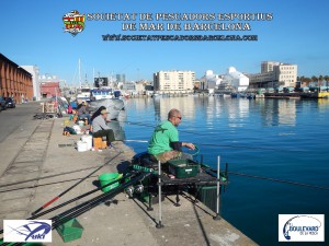 Concurs_pavo_2015_11_(www.societatpescadorsbarcelona.com)