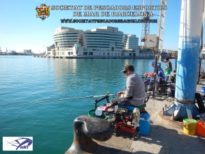 Concurs_pavo_2015_26_(www.societatpescadorsbarcelona.com)