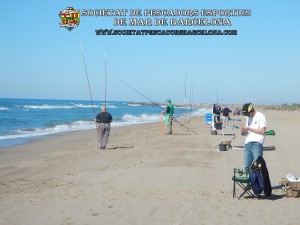 1_concurs_mar_costa_2016_16_(www.societatpescadorsbarcelona.com)