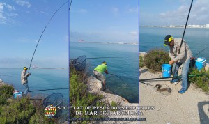 Aplec_pesca_moll_adossat_Barcelona_22_05_2016_12_1_(www.societatpescadorsbarcelona.com)