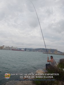 Aplec_pesca_moll_adossat_Barcelona_22_05_2016_29_(www.societatpescadorsbarcelona.com)