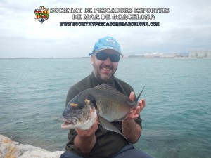 Aplec_pesca_moll_adossat_Barcelona_22_05_2016_40_(www.societatpescadorsbarcelona.com)