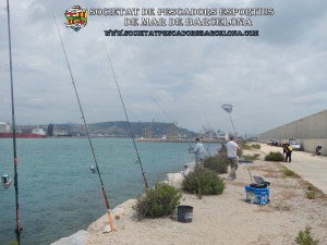 Aplec_pesca_moll_adossat_Barcelona_22_05_2016_41_(www.societatpescadorsbarcelona.com)