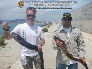 Aplec_pesca_moll_adossat_Barcelona_22_05_2016_47_(www.societatpescadorsbarcelona.com)