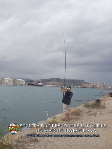 Aplec_pesca_moll_adossat_Barcelona_18_06_2016_28_(www.societatpescadorsbarcelona.com)