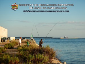 Aplec_pesca_moll_adossat_Barcelona_18_06_2016_36_(www.societatpescadorsbarcelona.com)