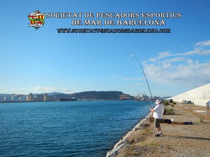 Aplec_pesca_moll_adossat_Barcelona_18_06_2016_37_(www.societatpescadorsbarcelona.com)