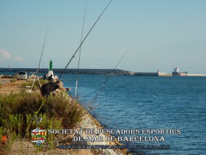 Aplec_pesca_moll_adossat_Barcelona_18_06_2016_38_(www.societatpescadorsbarcelona.com)