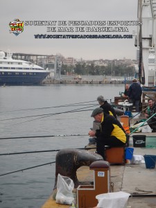 5e_concurs_mar-costa_23_10_2016_01_(www.societatpescadorsbarcelona.com)