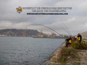 Aplec_pesca_moll_adossat_Barcelona_08_10_2016_18_(www.societatpescadorsbarcelona.com)