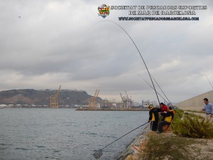 Aplec_pesca_moll_adossat_Barcelona_08_10_2016_19_(www.societatpescadorsbarcelona.com)