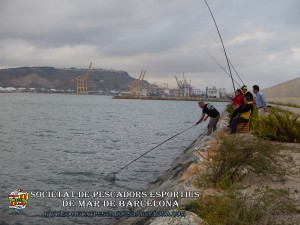 Aplec_pesca_moll_adossat_Barcelona_08_10_2016_20_(www.societatpescadorsbarcelona.com)