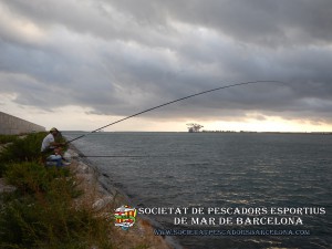 Aplec_pesca_moll_adossat_Barcelona_08_10_2016_37_(www.societatpescadorsbarcelona.com)