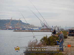 Aplec_pesca_moll_adossat_Barcelona_13_11_2016_02_(www.societatpescadorsbarcelona.com)