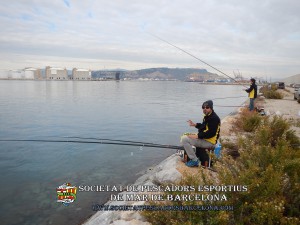 Aplec_pesca_moll_adossat_Barcelona_13_11_2016_07_(www.societatpescadorsbarcelona.com)