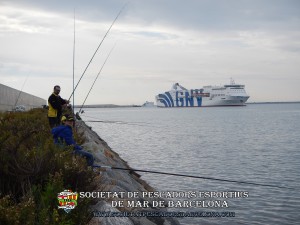 Aplec_pesca_moll_adossat_Barcelona_13_11_2016_28_(www.societatpescadorsbarcelona.com)