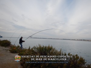 Aplec_pesca_moll_adossat_Barcelona_13_11_2016_29_(www.societatpescadorsbarcelona.com)