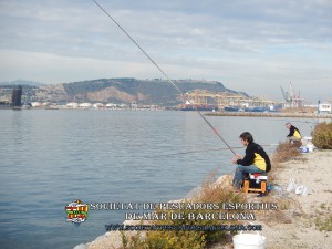 Aplec_pesca_moll_adossat_Barcelona_13_11_2016_33_(www.societatpescadorsbarcelona.com)