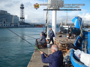 Concurs_pavo_2016_04_(www.societatpescadorsbarcelona.com)