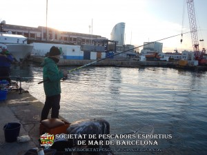 Concurs_burret_29_01_2017_14_(www.societatpescadorsbarcelona.com)