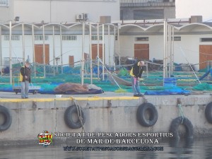 Concurs_burret_29_01_2017_31_(www.societatpescadorsbarcelona.com)