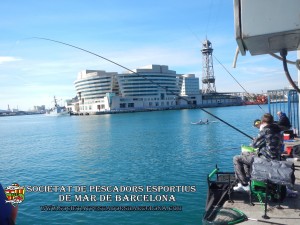 Concurs_burret_29_01_2017_47_(www.societatpescadorsbarcelona.com)