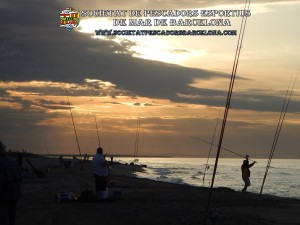 1r_concurs_mar_costa_2017_Prat_Llobregat_04(www.societatpescadorsbarcelona.com)