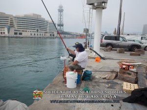 2n_concurs_mar_costa_2017_22(www.societatpescadorsbarcelona.com)