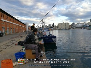 5e_concurs_mar_costa_2017_02(www.societatpescadorsbarcelona.com)