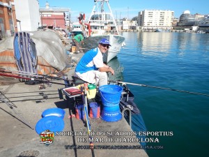 5e_concurs_mar_costa_2017_29(www.societatpescadorsbarcelona.com)