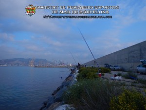 Aplec_pesca_Port_de_Barcelona_12_10_2017_01(www.societatpescadorsbarcelona.com)