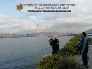 Aplec_pesca_Port_de_Barcelona_12_10_2017_04a(www.societatpescadorsbarcelona.com)