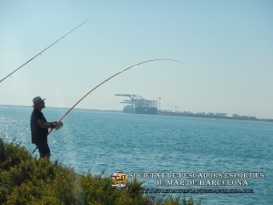 Aplec_pesca_Port_de_Barcelona_12_10_2017_04(www.societatpescadorsbarcelona.com)