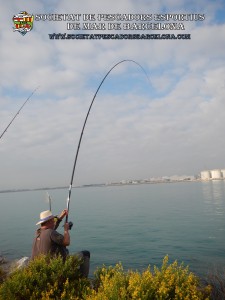 Aplec_pesca_Port_de_Barcelona_12_10_2017_06(www.societatpescadorsbarcelona.com)