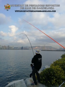 Aplec_pesca_Port_de_Barcelona_12_10_2017_22a(www.societatpescadorsbarcelona.com)