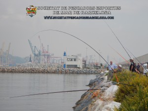 Aplec_pesca_Port_de_Barcelona_12_10_2017_29(www.societatpescadorsbarcelona.com)