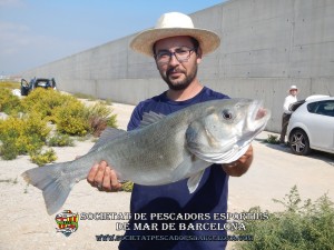 Aplec_pesca_Port_de_Barcelona_12_10_2017_35(www.societatpescadorsbarcelona.com)