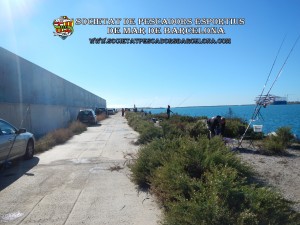 6è_concurs_mar_costa_2017_Port_Barcelona_11(www.societatpescadorsbarcelona.com)