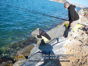 6è_concurs_mar_costa_2017_Port_Barcelona_16(www.societatpescadorsbarcelona.com)