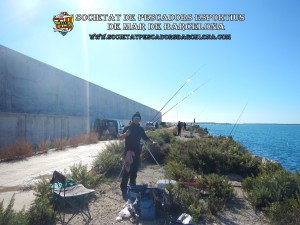 6è_concurs_mar_costa_2017_Port_Barcelona_17(www.societatpescadorsbarcelona.com)