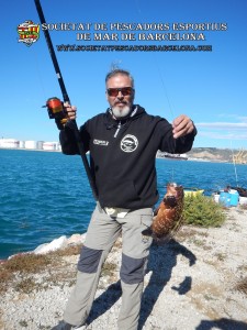 6è_concurs_mar_costa_2017_Port_Barcelona_19(www.societatpescadorsbarcelona.com)